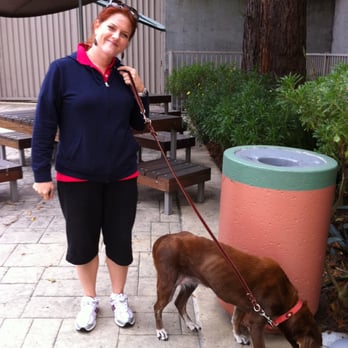 Blue Dog - Home Buddy Milda with Mae! - Dog Walkers Near Me Blue Dog - Home Buddy Milda with Mae! - Dog Walkers Near Me