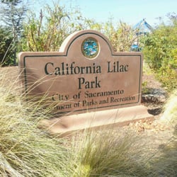 California Lilac Park