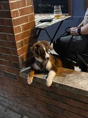 HasenStüble by null