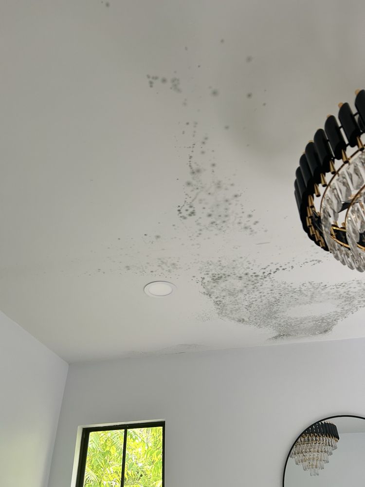 Dewayne's Construction - tree service in Memphis, TN