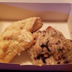 The Little Thing’s Bakery - Lemon and blueberries scones