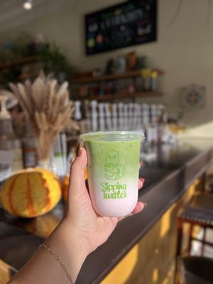 Sipping Turtle Cafe by null