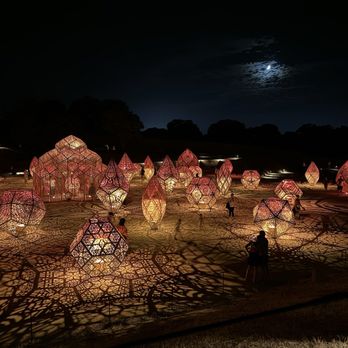 Sensorio - Dimensions, field of lights and fireflies - Art Galleries Near Me - Paso Robles, California Sensorio - Dimensions, field of lights and fireflies - Art Galleries Near Me - Paso Robles, California