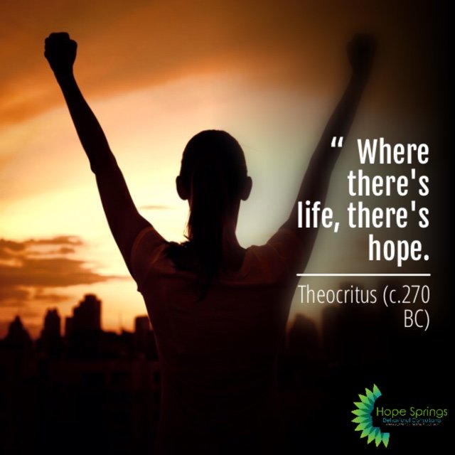 HOPE SPRINGS BEHAVIORAL CONSULTANTS Updated September 2024 1303 5th