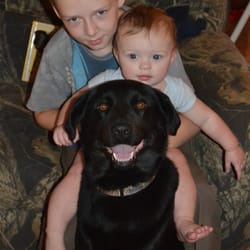 Barnett Lynn Owner - K-9 Inn