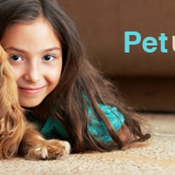 Green Mitten Chem-Dry - Pet Stain Removal Ann Arbor MI