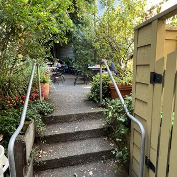 Thorough Bread & Pastry - outdoor seating in a garden-type setting - Sandwiches Near Me - San Francisco, California Thorough Bread & Pastry - outdoor seating in a garden-type setting - Sandwiches Near Me - San Francisco, California