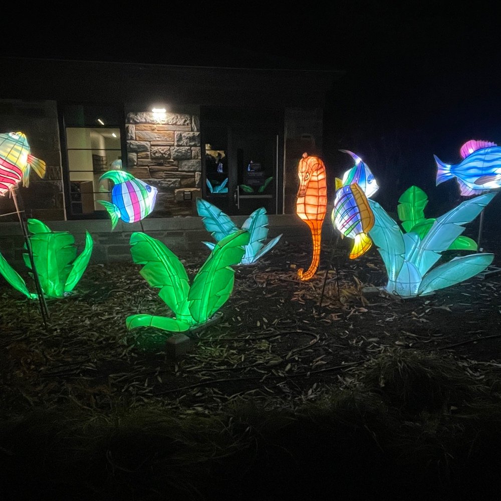 ZooLights - Zoos Near Me - Washington, DC, District of Columbia