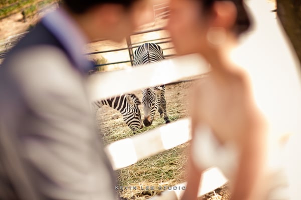 Saddlerock Ranch by null