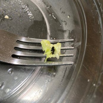 California Tortilla - Giant bug in my food - Tex-Mex Near Me - Columbia, Maryland