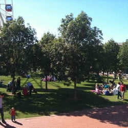 Bay Park Area