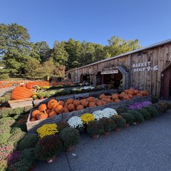 Mack's Apples - Amazing variety of pumpkins!