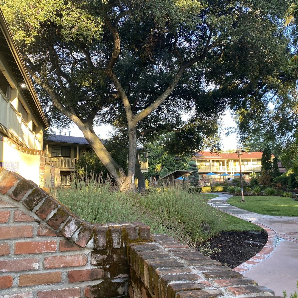 Paso Robles Inn - Beautiful grounds - Hotels Near Me - Paso Robles, California Paso Robles Inn - Beautiful grounds - Hotels Near Me - Paso Robles, California