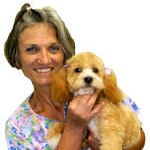 Frenchie's Pet Grooming Image