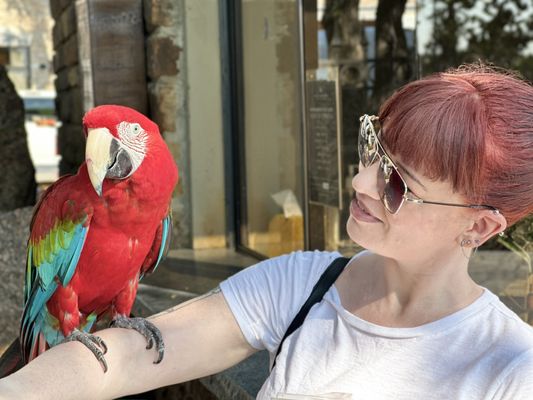 Horseshoe Bay Resort by null