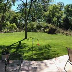 Jr’s Tree Service - Before