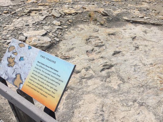 Clayton Lake State Park and Dinosaur Trackways by null