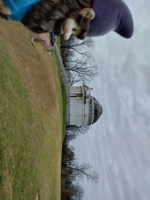 Vicksburg National Military Park by null