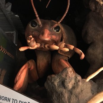 Field Museum - Museums Near Me - Chicago, Illinois Field Museum - Museums Near Me - Chicago, Illinois