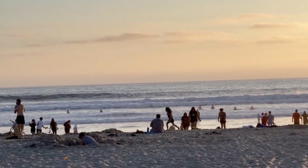 Mission Beach Park by null