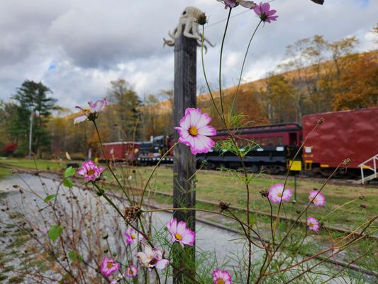 Empire State Railway Museum by null