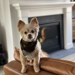 Minnieville Animal Hospital