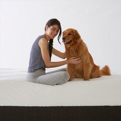 Mattress City - Our mattresses are even comfortable for your best friend!