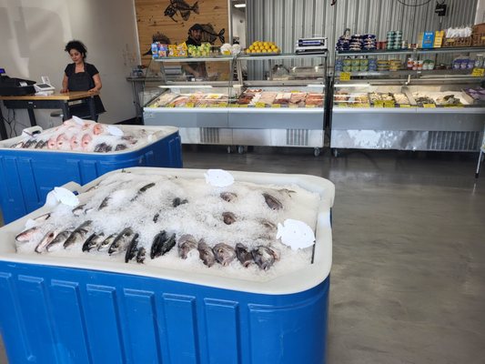 ◇Fish Market◇２２×２０×１５◇ ◇ l.jpg