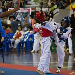Chan Lee Taekwondo - Building young champions