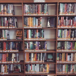 The William E. Dermody Public Library - A whole wall of New Books!