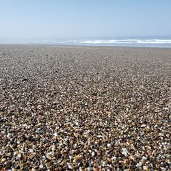 Sonoma Coast State Beach