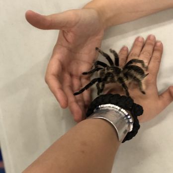 The Bug Gals - Petting Zoos Near Me