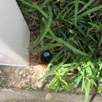 Fence Outlet - concreted over head/broken sprinkler line (screenshot from video) - Fences & Gates Near Me - Orlando, Florida