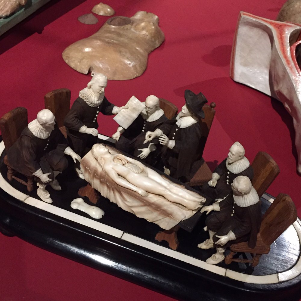 Wellcome Collection - Museums Near Me - London, XGL