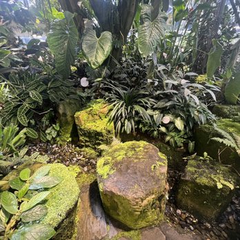 Amazon Spheres - Botanical plants - Botanical Gardens Near Me - Seattle, Washington