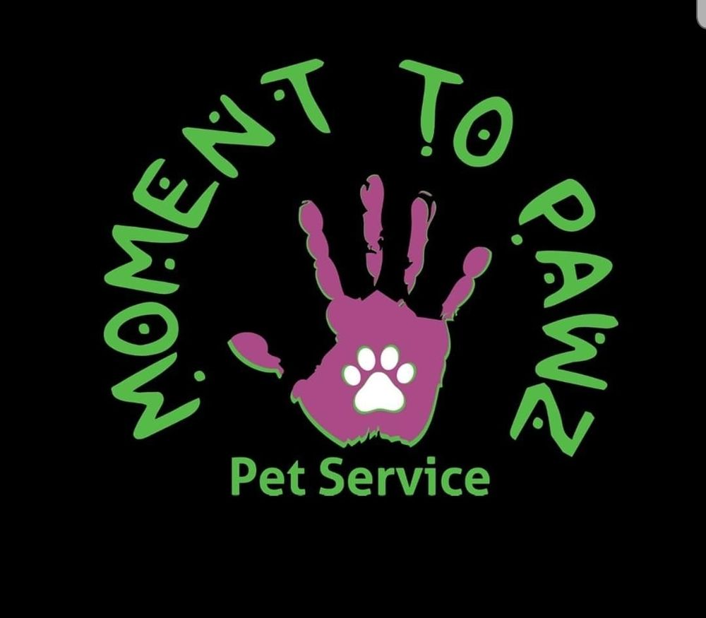 MOMENT TO PAWZ PET SERVICE Updated July 2024 Orlando, Florida Dog