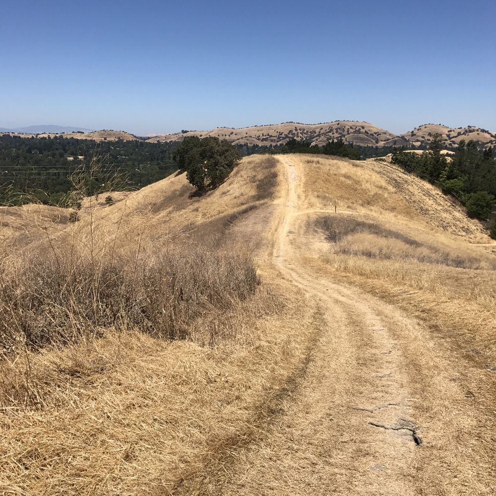 Sugarloaf Open Space - At a peak on a the Ridge Top Trail - Hiking Near Me - Walnut Creek, California Sugarloaf Open Space - At a peak on a the Ridge Top Trail - Hiking Near Me - Walnut Creek, California