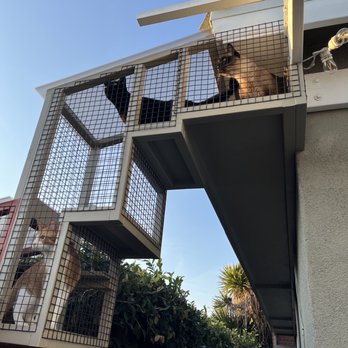 Catio Guy - Pet Services Near Me Catio Guy - Pet Services Near Me
