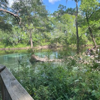 Madison Blue Springs State Park - A wider view of the entry way - Parks Near Me - Lee, Florida Madison Blue Springs State Park - A wider view of the entry way - Parks Near Me - Lee, Florida