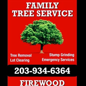 Family Tree Service - Think Family first - Tree Services Near Me - West Haven, Connecticut Family Tree Service - Think Family first - Tree Services Near Me - West Haven, Connecticut