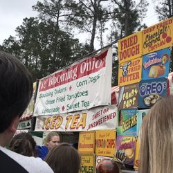 Alachua County Fairgrounds - Hoggetowne Medieval Faire 2019