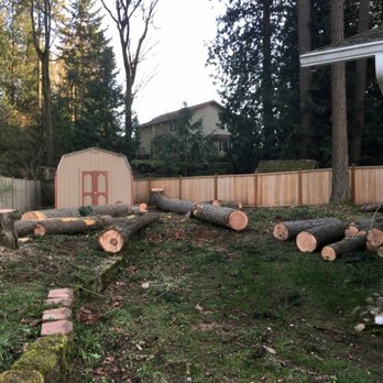 DS Pro Deck and Fence - What the yard looked like before (right after trees were taken down). - Landscaping Near Me