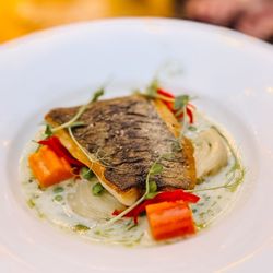 Wormwood - Fish dish