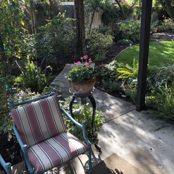 AB Tree Doctor - Yard - Tree Services Near Me - Bakersfield, California