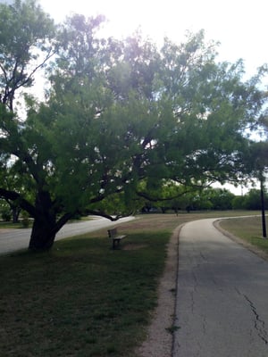 Redbud Park by null