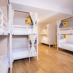 Wombat's - Dorm Room