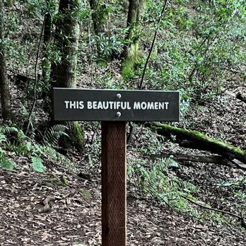 Villa Montalvo - Hiking Near Me - Saratoga, California Villa Montalvo - Hiking Near Me - Saratoga, California