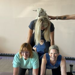Ebb and Flow Yoga