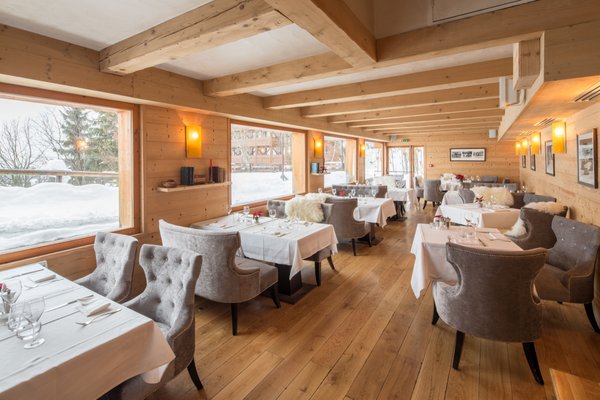 Hôtel L'Arboisie by null