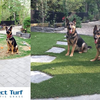 Perfect Turf - Before and After - Artificial Turf Near Me Perfect Turf - Before and After - Artificial Turf Near Me